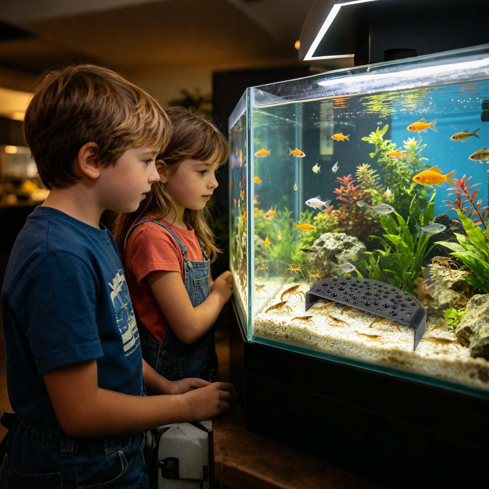 Aquatic Pet Rest Ornament Mult - огляд і ціна Aquatic Zone